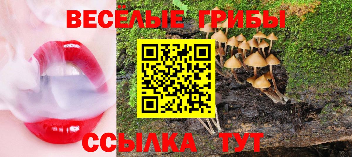 Псилоцибиновые грибы прущие грибы Учалы