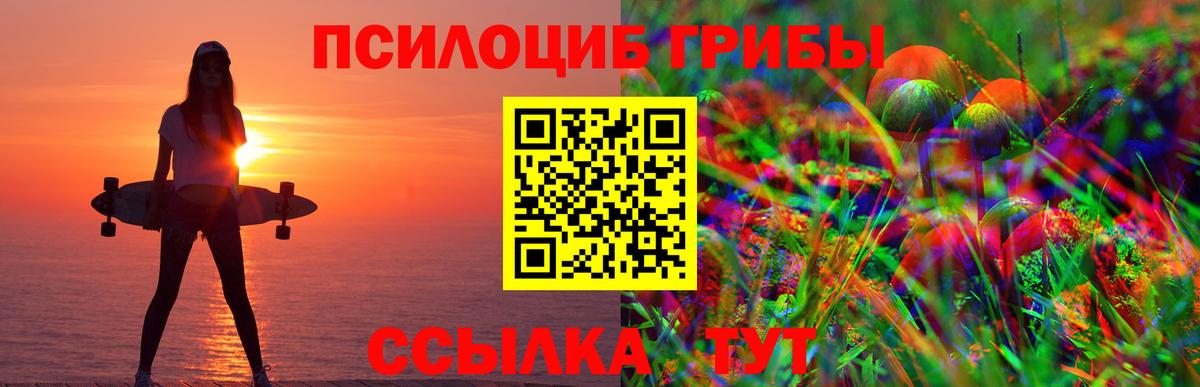 Псилоцибиновые грибы мицелий  Псилоцибиновые грибы прущие грибы  Вход с VPN  Учалы 